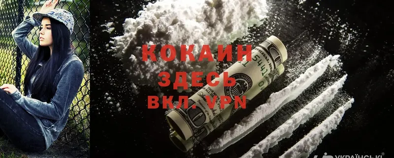 Cocaine Fish Scale Михайловск